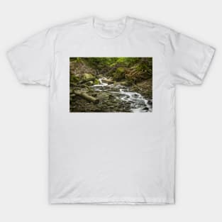 Mountain Stream T-Shirt